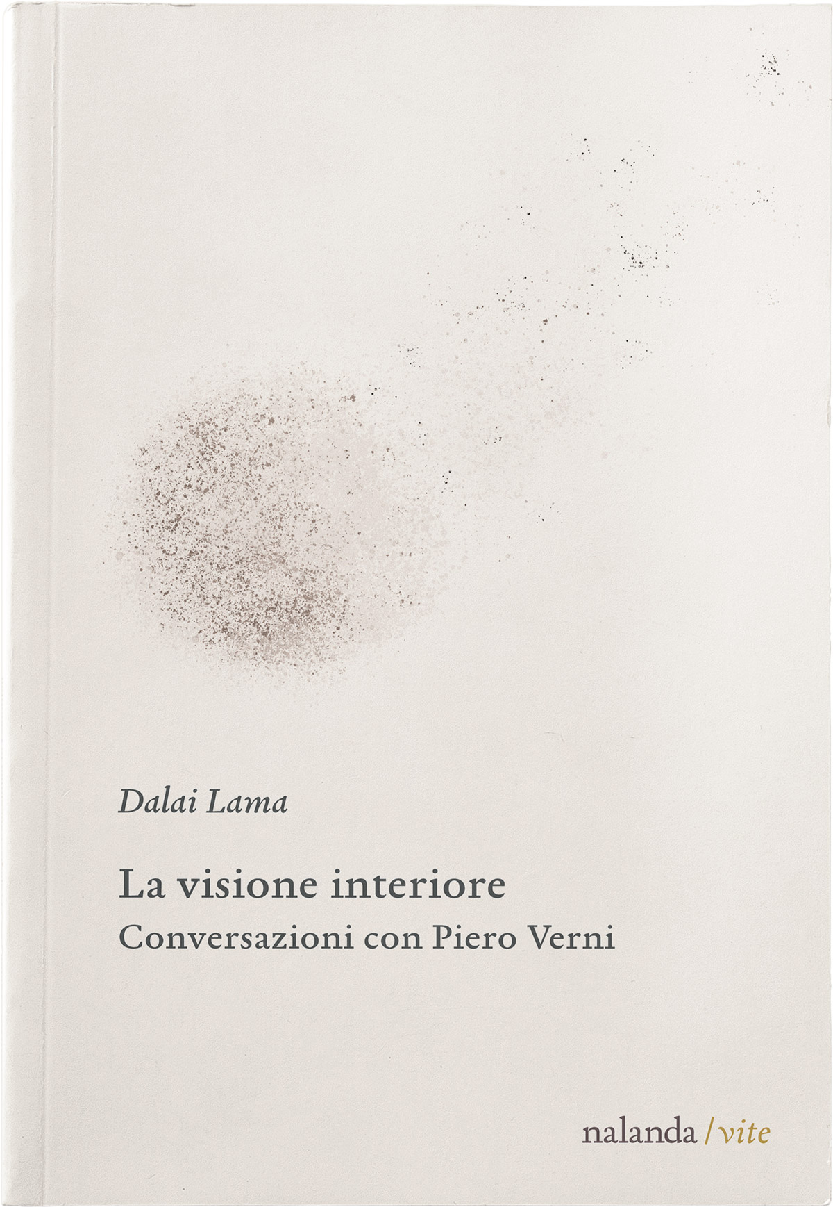 La visione interiore. Conversazioni con Pietro Verni